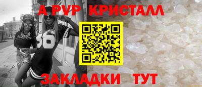 стаф Донской