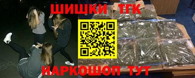 стаф Донской