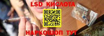стафф Донецк