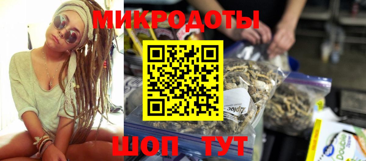 Галлюциногенные грибы Psilocybe Можайск